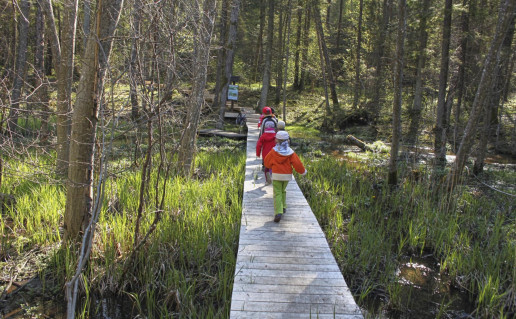 31_Laumenu pazintine trasa_Zaisos saltinio link_R_Mikitiejevos foto.jpg